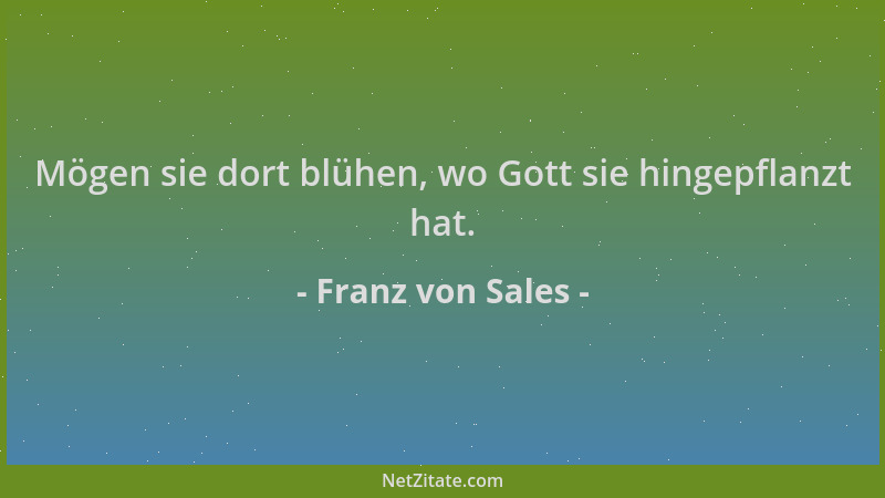 Franz von Sales - Mögen sie dort blühen, wo Gott sie hingepflanzt hat....