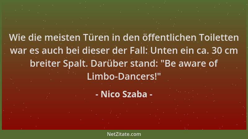 Nico Szaba - Wie die meisten Türen in den öffentlichen Toiletten war es auch bei dieser der Fall: Unten ein ca. 30 cm breit...