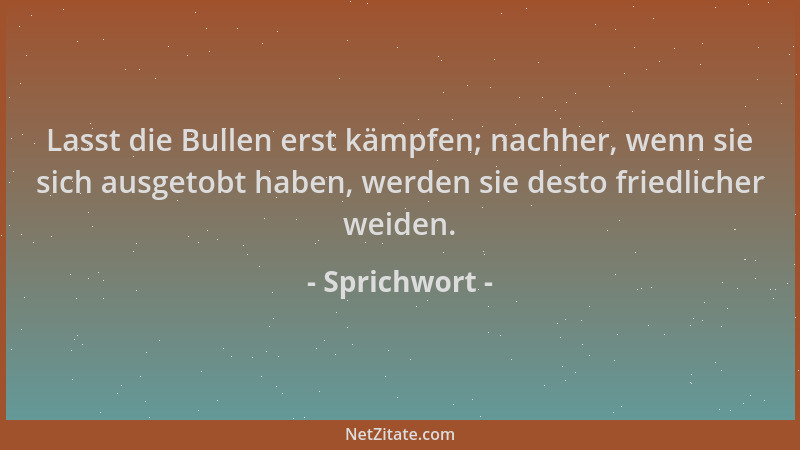 Sprichwort - Lasst die Bullen erst kämpfen; nachher, wenn sie sich ausgetobt haben, werden sie desto friedlicher weiden....