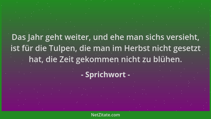 Sprichwort - Das Jahr geht weiter, und ehe man sichs versieht, ist für die Tulpen, die man im Herbst nicht gesetzt hat, die...