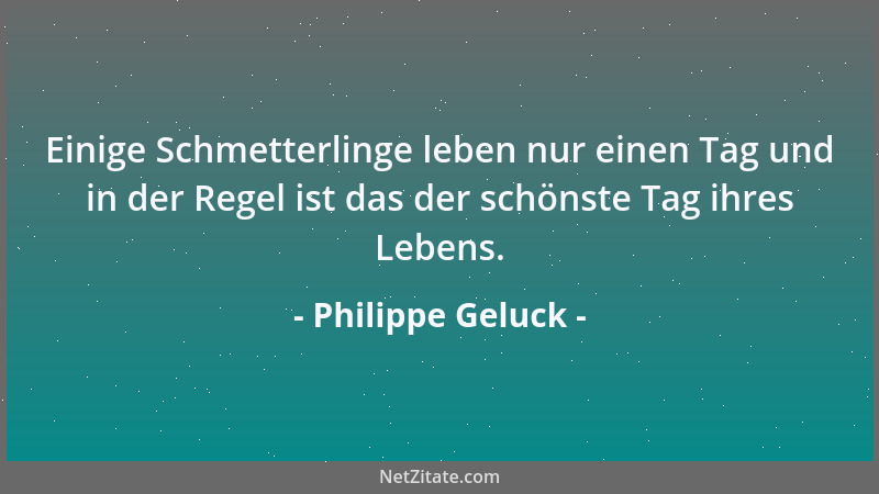 Philippe Geluck - Einige Schmetterlinge leben nur einen Tag und in der Regel ist das der schönste Tag ihres Lebens....