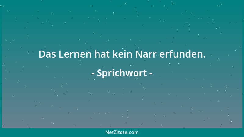 Sprichwort - Besser mit Schaden als mit Schanden klug werden....