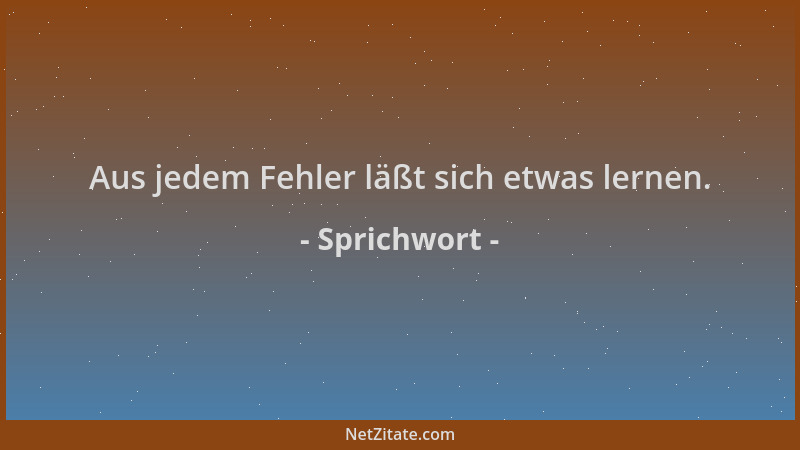 Sprichwort - Aus jedem Fehler läßt sich etwas lernen....