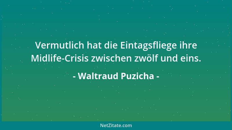 Waltraud Puzicha - Vermutlich hat die Eintagsfliege ihre Midlife-Crisis zwischen zwölf und eins....