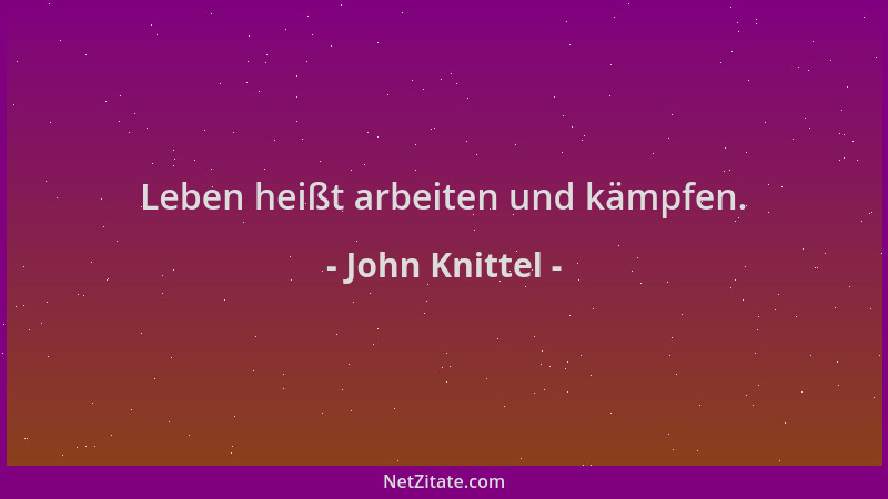 John Knittel - Leben heißt arbeiten und kämpfen....