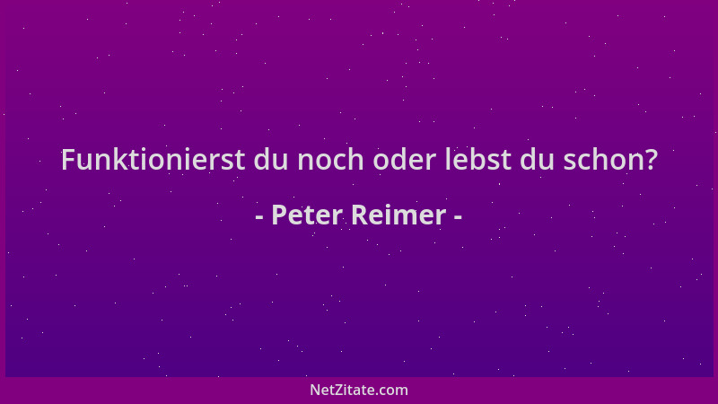 Peter Reimer - Funktionierst du noch oder lebst du schon?...