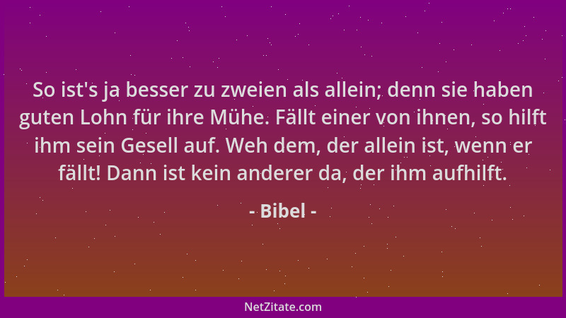 Bibel - So ist 's ja besser zu zweien als allein; denn sie haben guten Lohn für ihre Mühe. Fällt einer von ihnen, so hilft i...