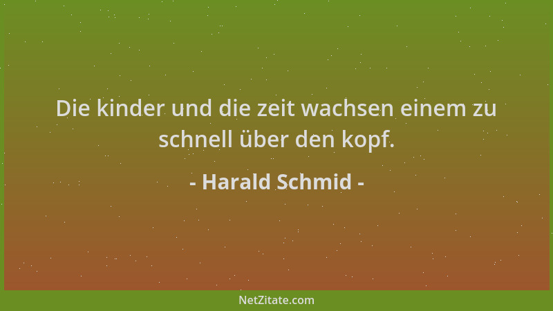 Harald Schmid - Die kinder und die zeit wachsen einem zu schnell über den kopf....