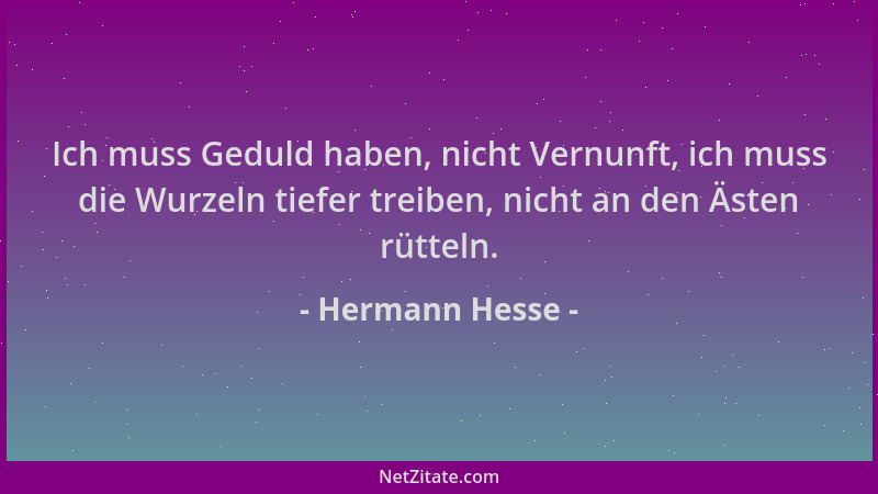 Hermann Hesse - Ich muss Geduld haben, nicht Vernunft, ich muss die Wurzeln tiefer treiben, nicht an den Ästen rütteln....