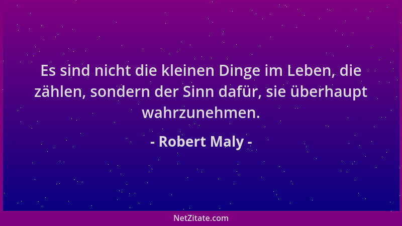 Robert Maly - Es sind nicht die kleinen Dinge im Leben, die zählen, sondern der Sinn dafür, sie überhaupt wahrzunehmen....