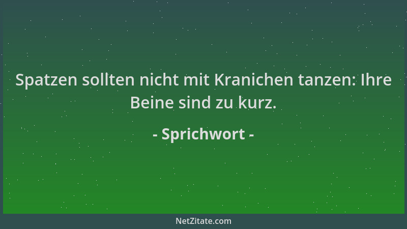 Sprichwort - Spatzen sollten nicht mit Kranichen tanzen: Ihre Beine sind zu kurz....