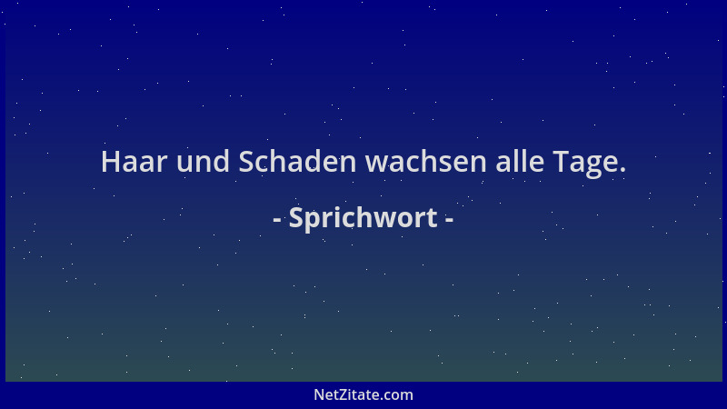 Sprichwort - Haar und Schaden wachsen alle Tage....