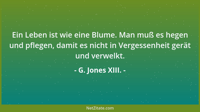 G. Jones XIII. - Ich hätte so gerne im absoluten Glück gelebt, doch muß ich mich fragen, soll alles beim ersten Mal funktio...