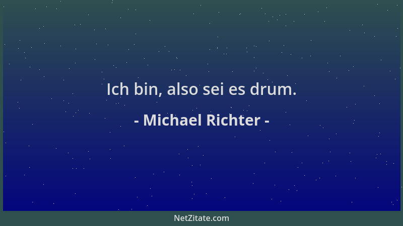 Michael Richter - Ich bin, also sei es drum....