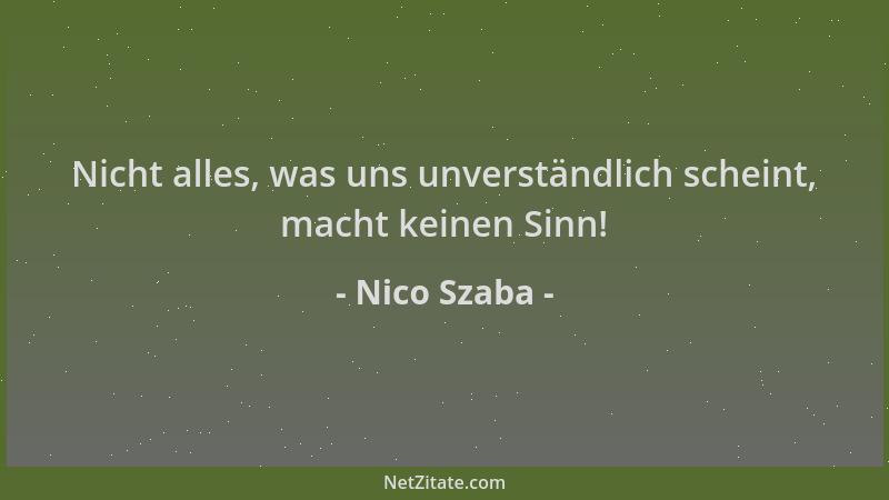 Nico Szaba - Nicht alles, was uns unverständlich scheint, macht keinen Sinn!...