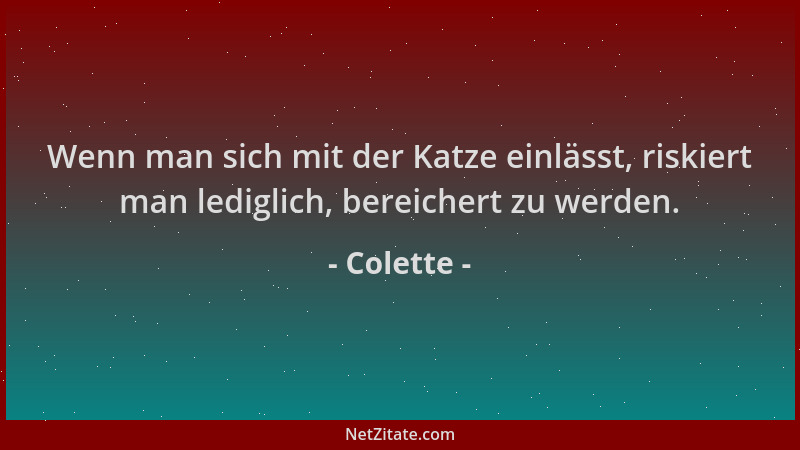 Colette - Wenn man sich mit der Katze einlässt, riskiert man lediglich, bereichert zu werden....