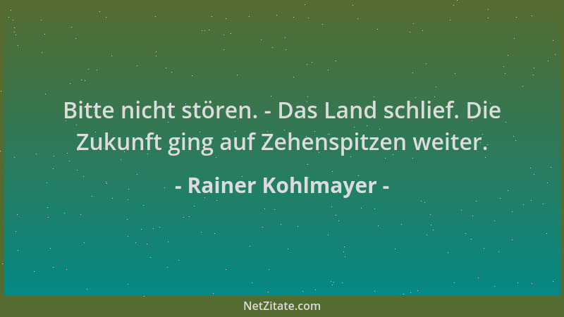 Rainer Kohlmayer - Bitte nicht stören. - Das Land schlief. Die Zukunft ging auf Zehenspitzen weiter....