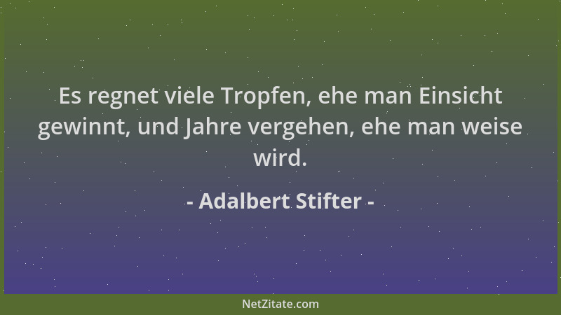 Adalbert Stifter - Es regnet viele Tropfen, ehe man Einsicht gewinnt, und Jahre vergehen, ehe man weise wird....