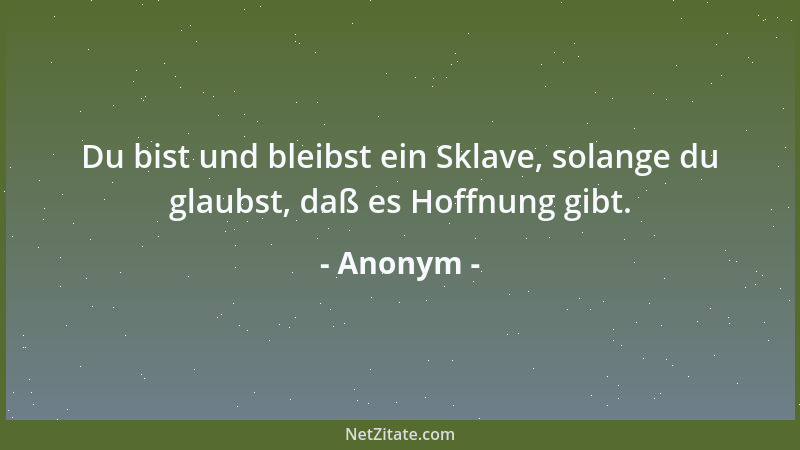 Anonym - Du bist und bleibst ein Sklave, solange du glaubst, daß es Hoffnung gibt....
