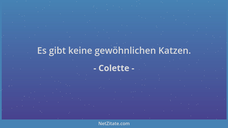 Colette - Es gibt keine gewöhnlichen Katzen....