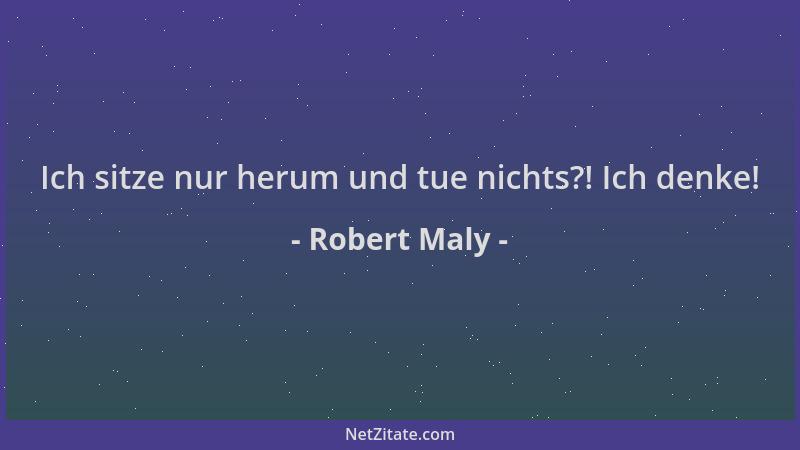 Robert Maly - Ich sitze nur herum und tue nichts?! Ich denke!...