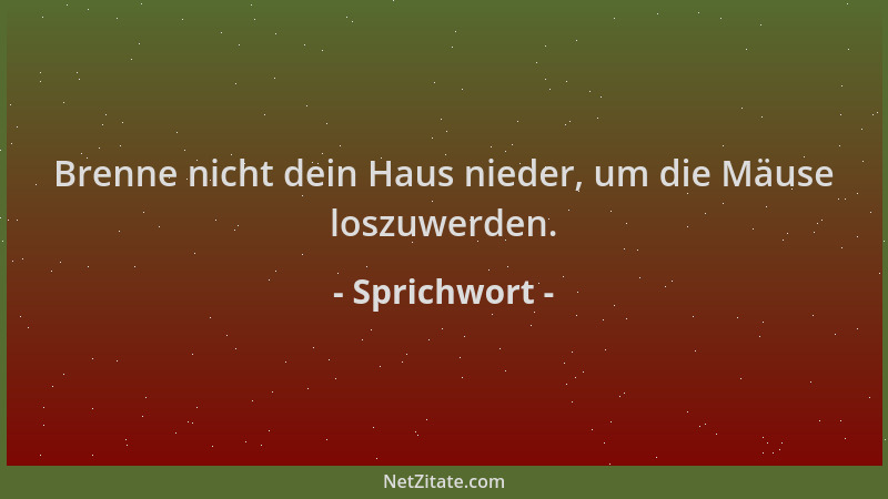 Sprichwort - Brenne nicht dein Haus nieder, um die Mäuse loszuwerden....