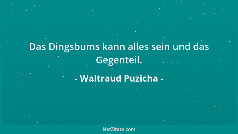 Waltraud Puzicha - Das Dingsbums kann alles sein und das Gegenteil....