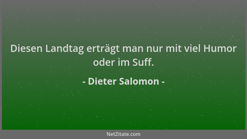 Dieter Salomon - Diesen Landtag erträgt man nur mit viel Humor oder im Suff....