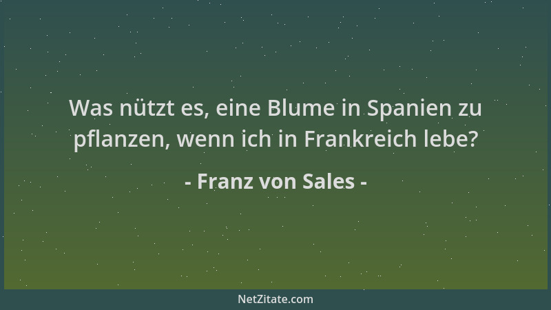 Franz von Sales - Was nützt es, eine Blume in Spanien zu pflanzen, wenn ich in Frankreich lebe?...