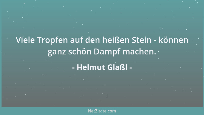 Helmut Glaßl - Viele Tropfen auf den heißen Stein - können ganz schön Dampf machen....