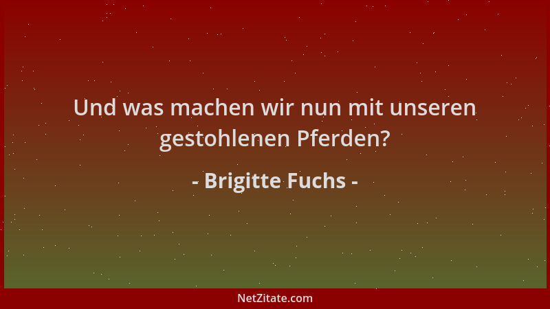 Brigitte Fuchs - Und was machen wir nun mit unseren gestohlenen Pferden?...
