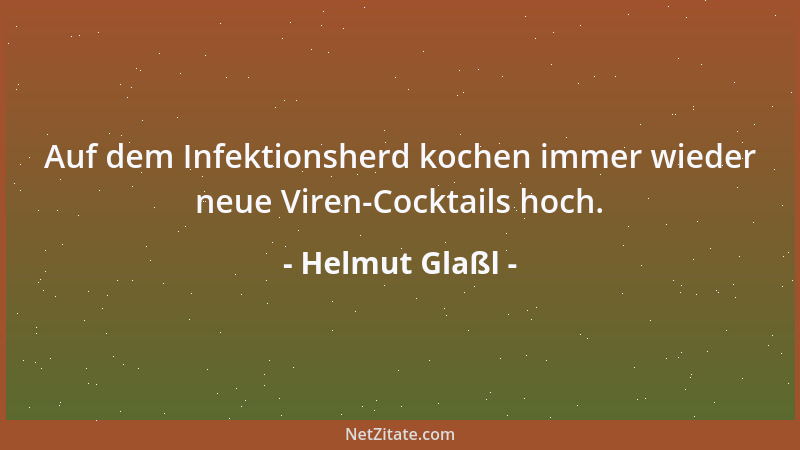 Helmut Glaßl - Auf dem Infektionsherd kochen immer wieder neue Viren-Cocktails hoch....