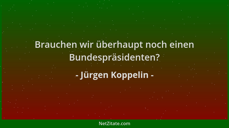 Jürgen Koppelin - Brauchen wir überhaupt noch einen Bundespräsidenten?...
