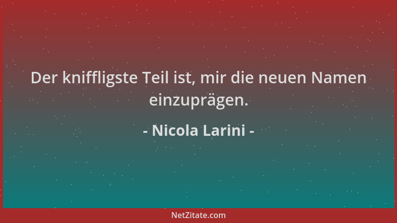 Nicola Larini - Der kniffligste Teil ist, mir die neuen Namen einzuprägen....