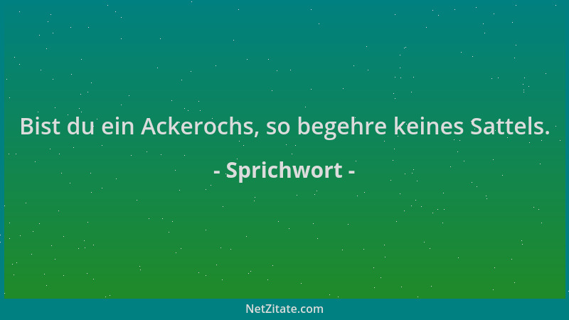 Sprichwort - Bist du ein Ackerochs, so begehre keines Sattels....