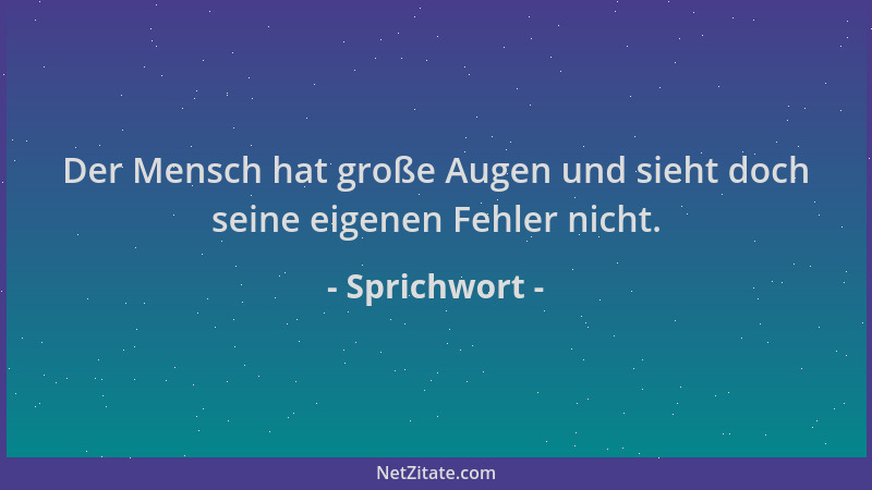 Sprichwort - Der Mensch hat große Augen und sieht doch seine eigenen Fehler nicht....
