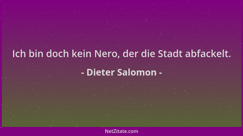 Dieter Salomon - Ich bin doch kein Nero, der die Stadt abfackelt....