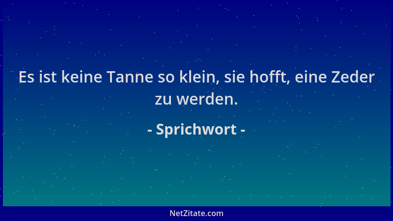 Sprichwort - Es ist keine Tanne so klein, sie hofft, eine Zeder zu werden....