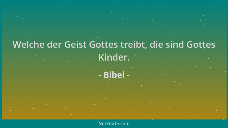 Bibel - Welche der Geist Gottes treibt, die sind Gottes Kinder....
