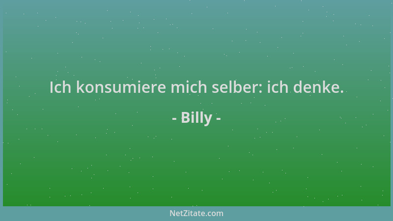 Billy - Ich konsumiere mich selber: ich denke....