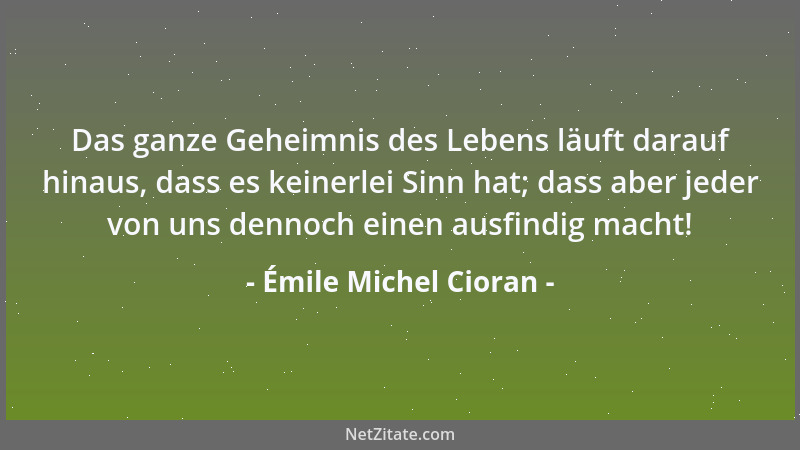 Émile Michel Cioran - Jeder Beginn einer Idee entspringt einer unmerklichen Verletzung des Geistes....