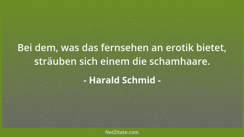 Harald Schmid - Bei dem, was das fernsehen an erotik bietet, sträuben sich einem die schamhaare....