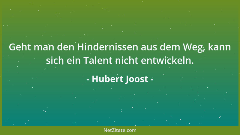 Hubert Joost - Geht man den Hindernissen aus dem Weg, kann sich ein Talent nicht entwickeln....