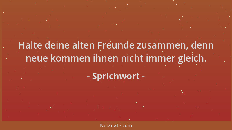 Sprichwort - Halte deine alten Freunde zusammen, denn neue kommen ihnen nicht immer gleich....
