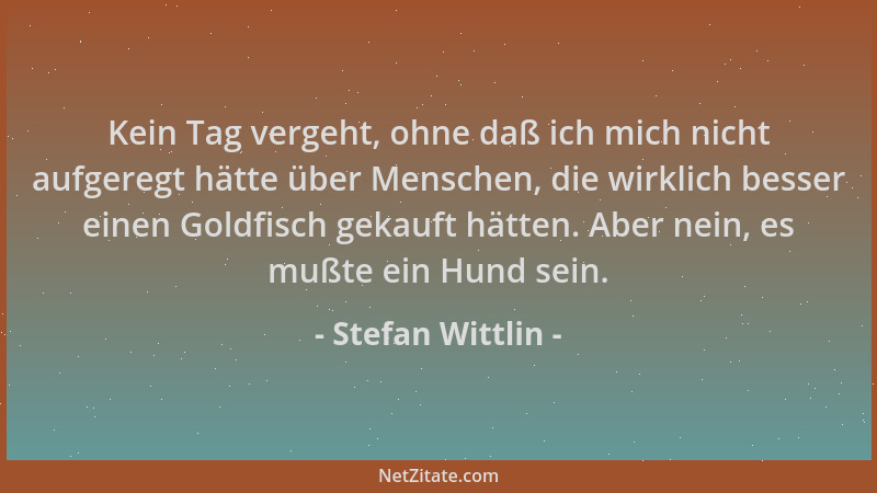 Stefan Wittlin - Kein Tag vergeht, ohne daß ich mich nicht aufgeregt hätte über Menschen, die wirklich besser einen Goldfis...