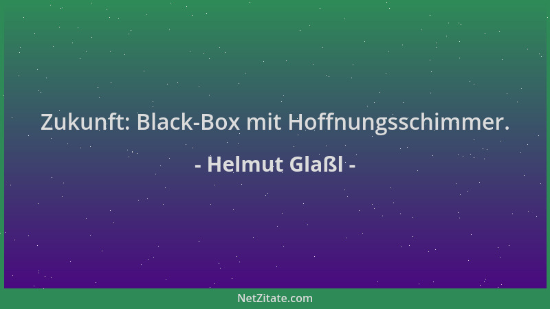 Helmut Glaßl - Zukunft: Black-Box mit Hoffnungsschimmer....