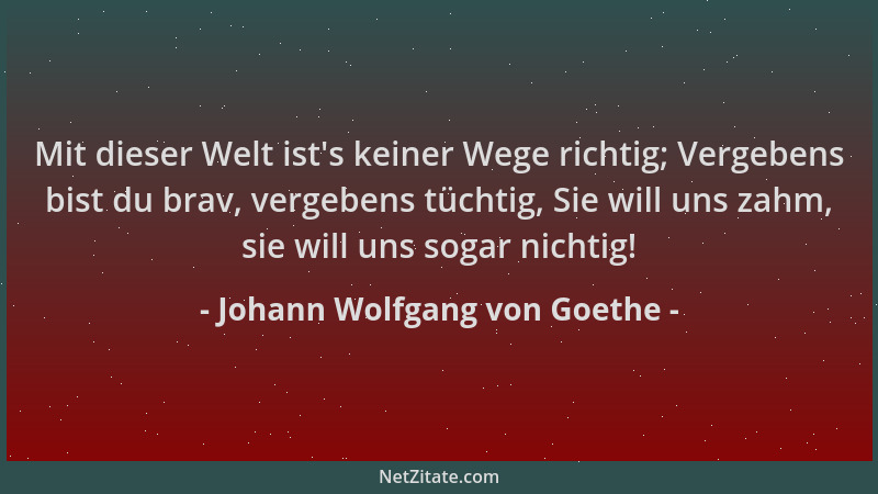 Johann Wolfgang von Goethe - Mit dieser Welt ist 's keiner Wege richtig; Vergebens bist du brav, vergebens tüchtig, Sie will...