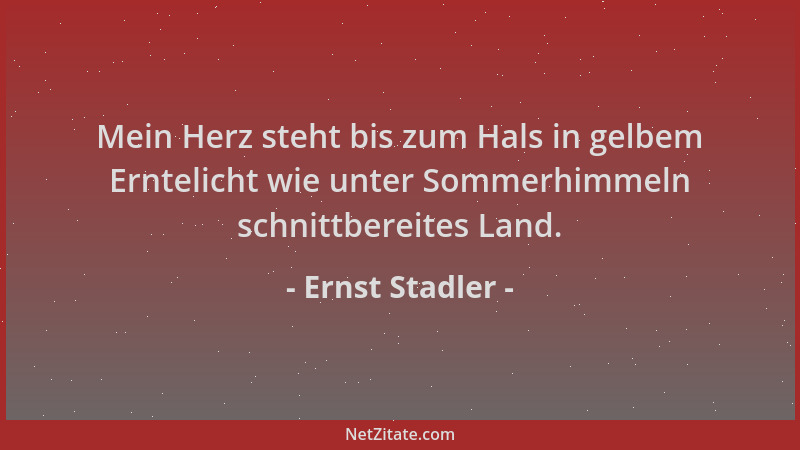 Ernst Stadler - Mein Herz steht bis zum Hals in gelbem Erntelicht wie unter Sommerhimmeln schnittbereites Land....