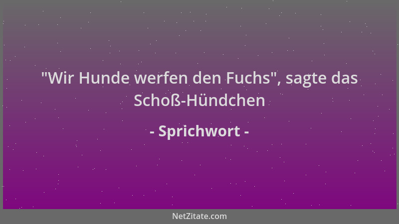 Sprichwort -  "Wir Hunde werfen den Fuchs ", sagte das Schoß-Hündchen...