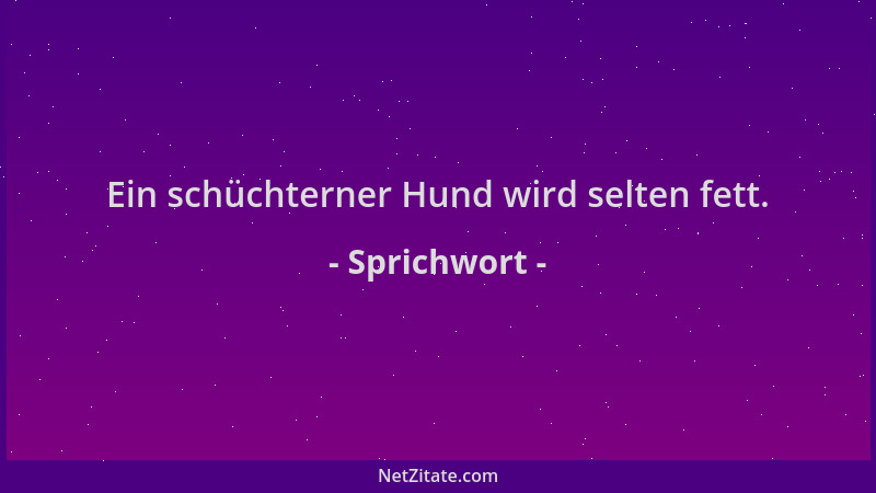 Sprichwort - Ein schüchterner Hund wird selten fett....